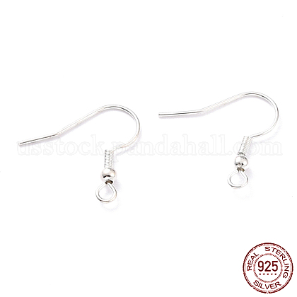 304 Stainless Steel Earring Hooks US-STAS-T031-17S-1