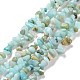 Natural Amazonite Chips Beads Strands US-G-M205-12A-1