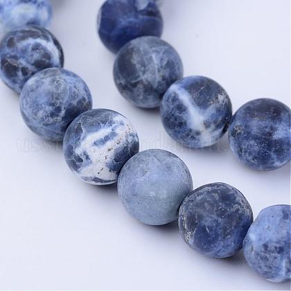 Natural Sodalite Beads Strands US-G-Q462-8mm-07-1