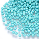 6/0 Baking Paint Glass Round Seed Beads US-SEED-S036-01C-13-1