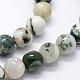 Natural Tree Agate Beads Strands US-G-I199-03-8mm-6