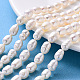Natural Cultured Freshwater Pearl Beads Strands US-PEAR-S012-41B-1