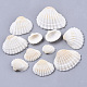 Natural Shell Beads US-SSHEL-S258-73-2