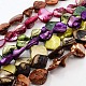 Natural Freshwater Shell Beads Strands US-S00EA-20x21mm-M-1