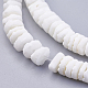 Natural White Shell Beads Strands US-BSHE-P026-30-3