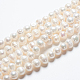 Natural Cultured Freshwater Pearl Beads Strands US-SPPA005Y-1-5
