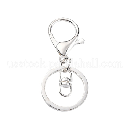 Iron Alloy Lobster Claw Clasp Keychain US-KEYC-D016-S-1
