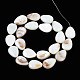 Natural White Shell Beads Strands US-PBB263Y-1-4