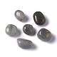Natural Labradorite Beads US-G-O188-01-3