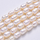 Natural Cultured Freshwater Pearl Beads Strands US-PEAR-S012-41B-2