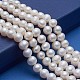Natural Cultured Freshwater Pearl Beads Strands US-A23WZ011-5