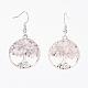 Natural Gemstone Dangle Earrings US-EJEW-JE02475-2