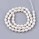 Grade AA Natural Cultured Freshwater Pearl Beads Strands US-PEAR-Q015-036A-01-2