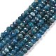 Faceted Rondelle Natural Apatite Bead Strands US-G-F289-48B-2