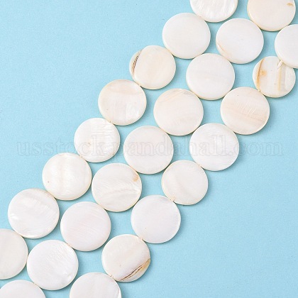 Natural Freshwater Shell Beads US-S00C20W3-1