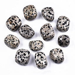 Natural Dalmatian Jasper Beads US-G-N332-012