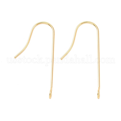316 Surgical Stainless Steel Earring Hooks US-STAS-E027-01B-G-1