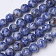 Natural Blue Spot Jasper Beads Strands US-G-D855-10-8mm-1
