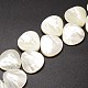 Natural Trochid Shell/Trochus Shell Beads Strands US-SSHEL-K009-10-3