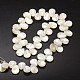 Natural Trochid Shell/Trochus Shell Beads Strands US-SSHEL-K009-06-2