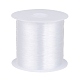 1 Roll Transparent Fishing Thread Nylon Wire US-X-NWIR-R0.25MM-1