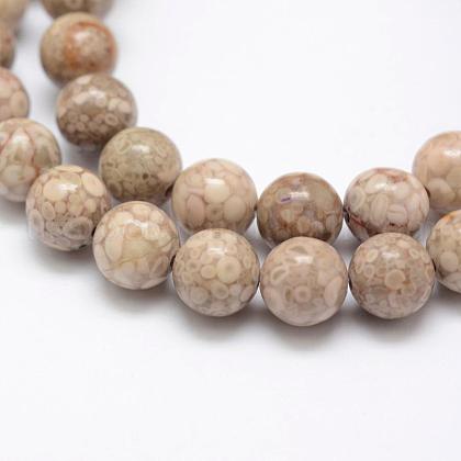 Natural Fossil Coral Beads Strands US-G-P325-01-8mm-1