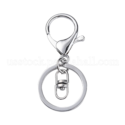 Iron Alloy Lobster Claw Clasp Keychain US-KEYC-D016-P-1