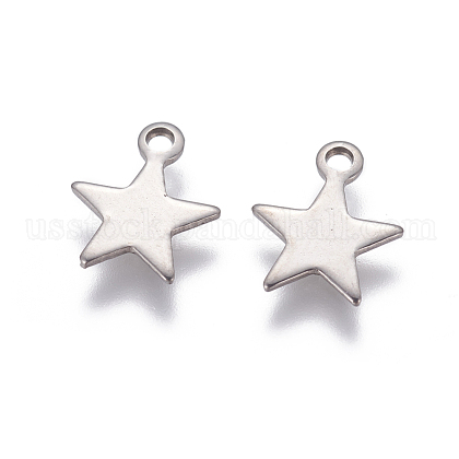 304 Stainless Steel Charms US-STAS-G190-27P-B-1