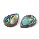 Abalone Shell/Paua Shell Beads US-SHEL-T005-02-2