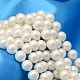 Round Shell Pearl Bead Strands US-BSHE-L011-4mm-A013A-1