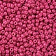 Baking Paint Glass Seed Beads US-SEED-S002-K5-2