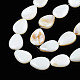 Natural White Shell Beads Strands US-PBB263Y-1-5