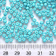 6/0 Baking Paint Glass Round Seed Beads US-SEED-S036-01C-13-3