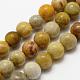 Natural Fossil Coral Beads Strands US-G-K194-8mm-05-1