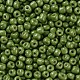Baking Paint Glass Seed Beads US-SEED-S003-K9-2