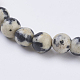 Natural Dalmation Jasper Beads Strands US-G-G515-4mm-06-3