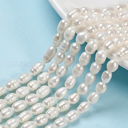 Natural Cultured Freshwater Pearl Beads Strands US-PEAR-S012-41