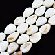 Natural White Shell Beads Strands US-PBB263Y-1-6
