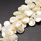 Natural Trochid Shell/Trochus Shell Beads Strands US-SSHEL-K009-06-1
