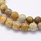 Natural Fossil Coral Beads Strands US-G-G697-F01-8mm-3
