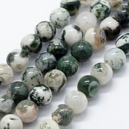 Natural Tree Agate Beads Strands US-G-I199-03-6mm-1