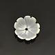 Flower Natural White Shell Beads US-SSHEL-N011-09-1