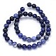 Round Natural Sodalite Beads Strands US-G-F222-39-6mm-3