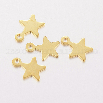 304 Stainless Steel Charms US-STAS-F162-42G-1