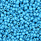 Baking Paint Glass Seed Beads US-SEED-S001-K10-2