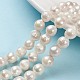 Natural Baroque Pearl Keshi Pearl Beads Strands US-PEAR-Q004-36-1