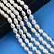 Natural Cultured Freshwater Pearl Beads Strands US-PEAR-N012-05D-6