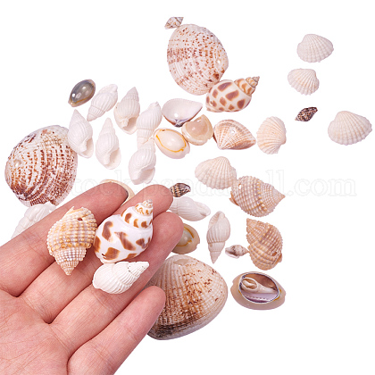 Mixed Style Cowrie Cowry Seashells Oval Spiral Shells with Holes for Jewelry Making US-BSHE-PH0002-1-1