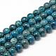 Natural Apatite Beads Strands US-G-R446-6mm-11-1