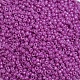 Baking Paint Glass Seed Beads US-SEED-S001-K21-3